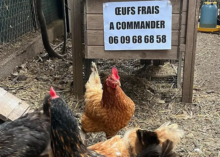 Villa 6 Et Piscine Entre La Et La *